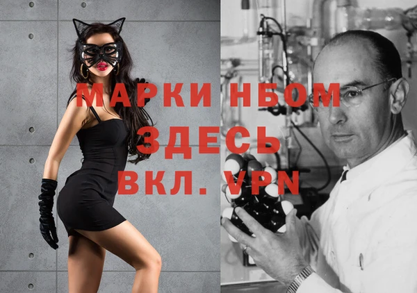 мдпв Коряжма