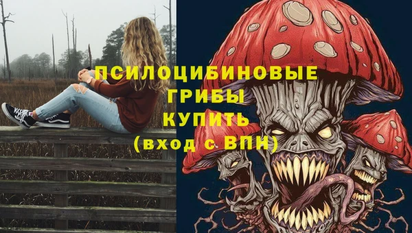 винт Красноперекопск